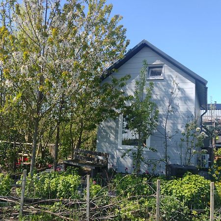 Tuinhuisje In Het Groen Almere Exterior photo
